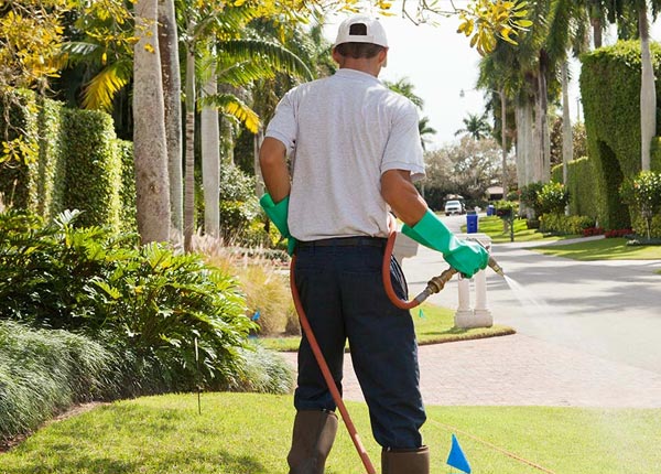 About Elk Park NC Pest Control